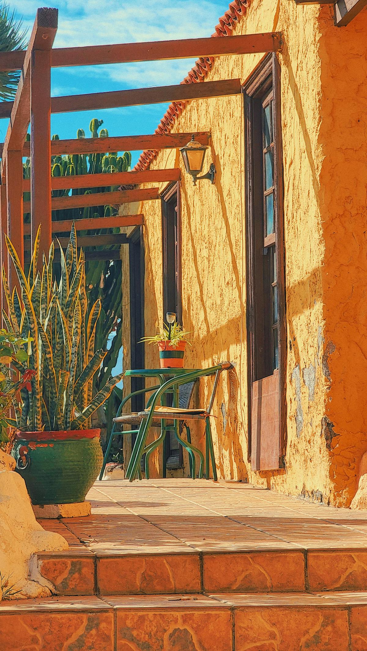 Cour paysagée méditerranéenne ensoleillée à Nice